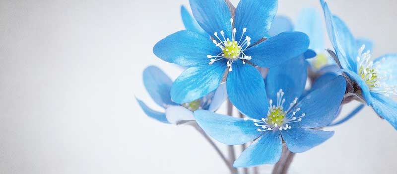 今から遊べる女と出会える優良サイト厳選3選 0008